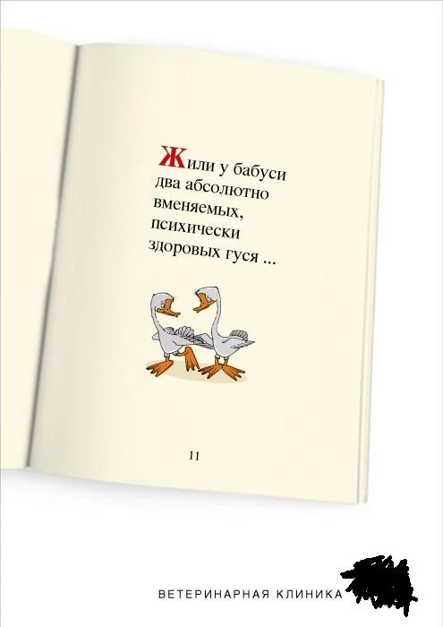 5693099_gusi.webp