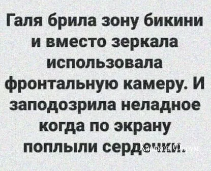 56b2fb274099f04fb6ae2.webp