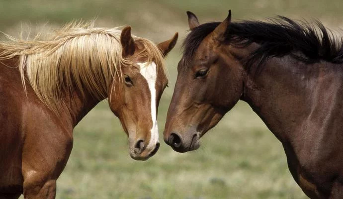 56bb660b42509.webp