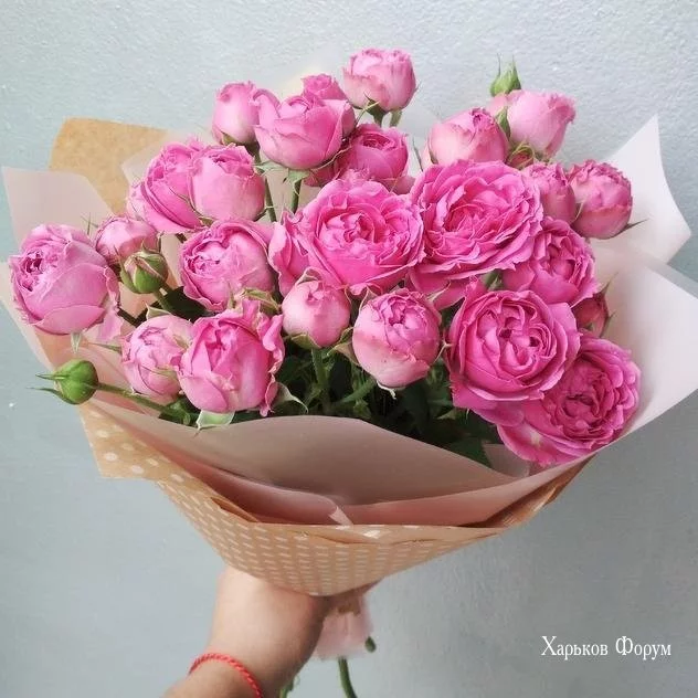 56c22759ada4235c38dee.webp