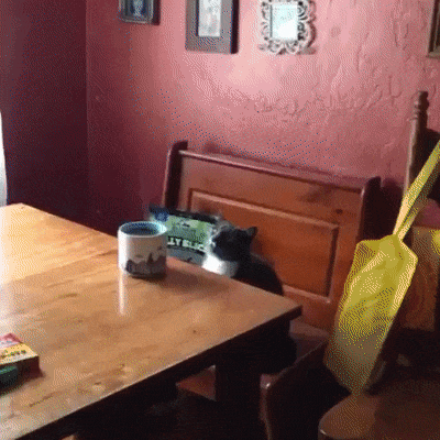 56cdee89e1710d5f8619.gif