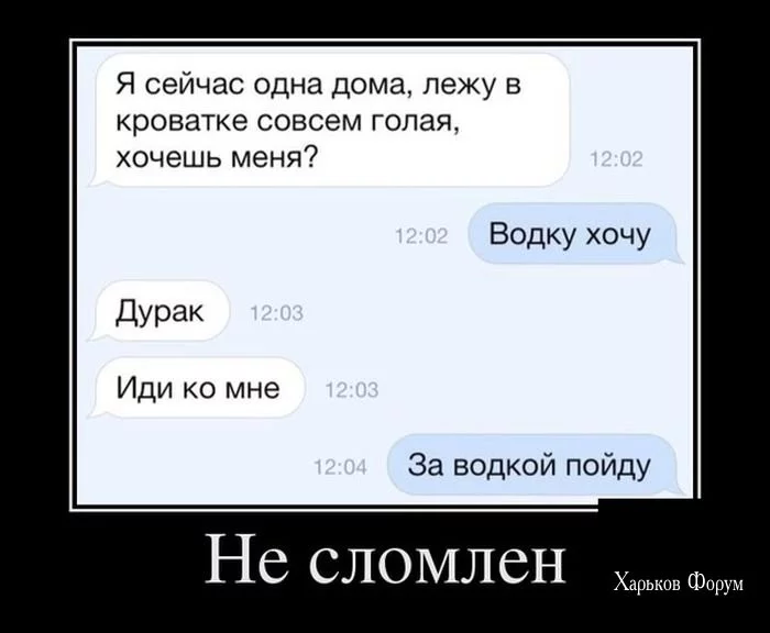56d4b2b50c9cce3ad53.webp
