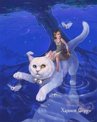 56ee915a27383bb11069.webp