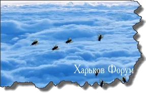 56ef7dae7f5597d93bee41ac.webp