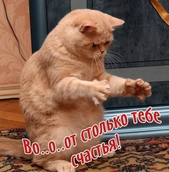 57.webp
