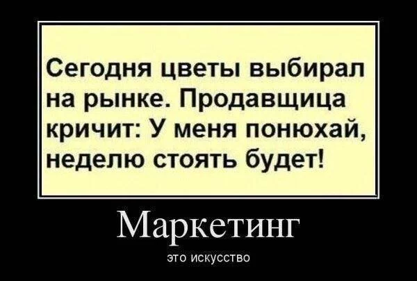 57063.webp