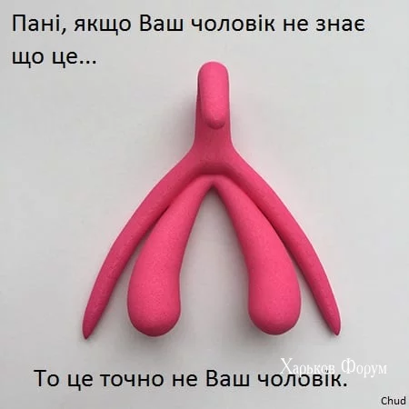 570909f67f12419efab33424.webp