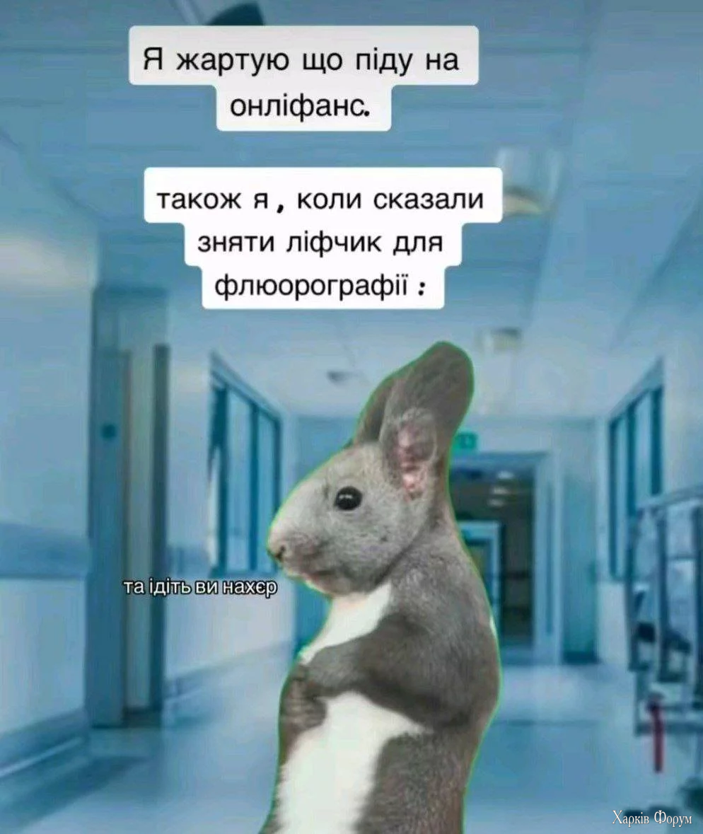 571208760_1130066075859203_8953473226674308577_n.webp