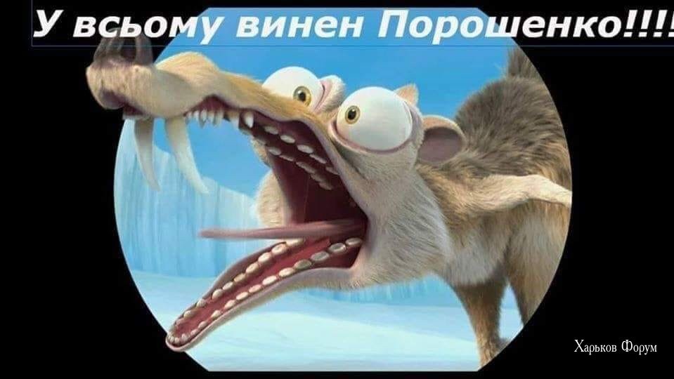 571ab3e8eec040b1326.jpg