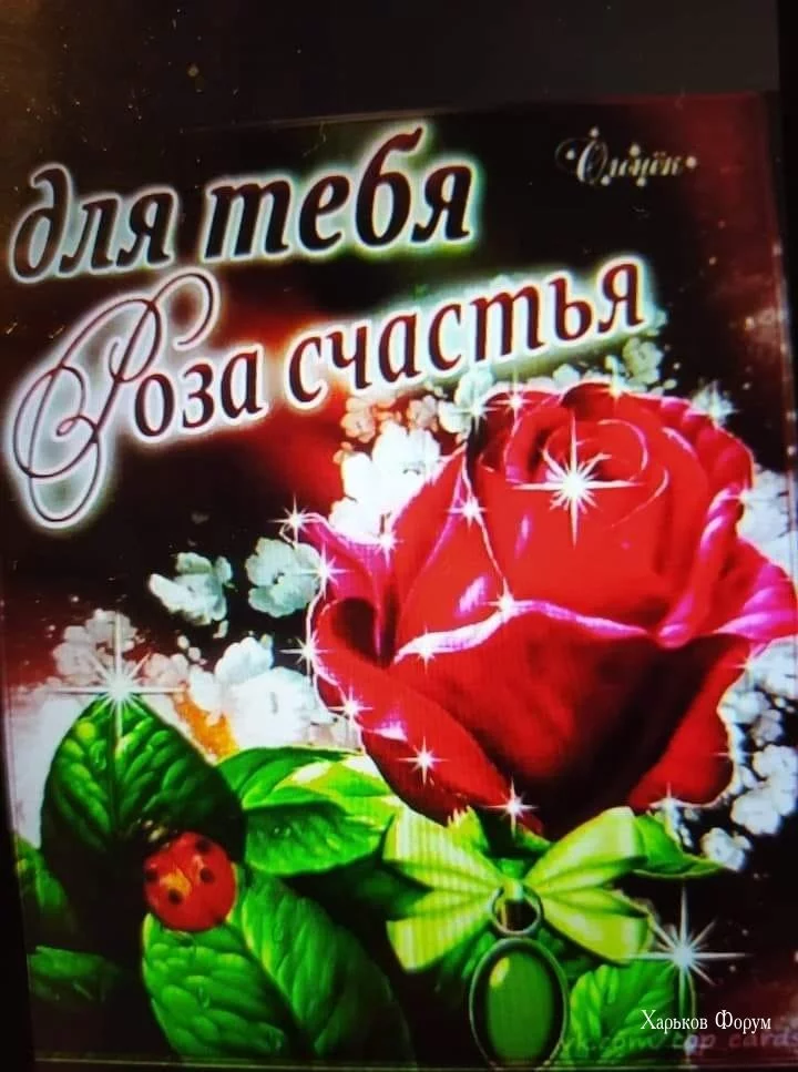 5722009da2fcf598e15.webp