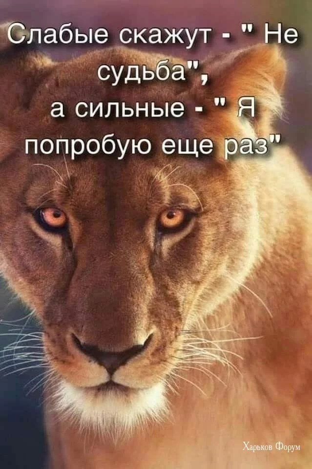 57292f954de6487d0f9.webp