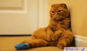 572d12f00103738d32a8.gif