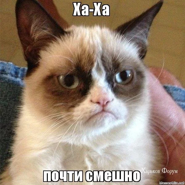 572e68586afe39d2.webp