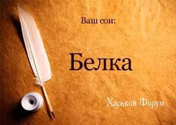 573e6e71fb11c565b594aa87.webp