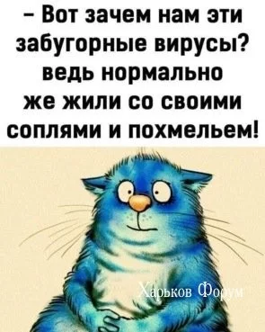 5742d3e89fde78b4e.webp