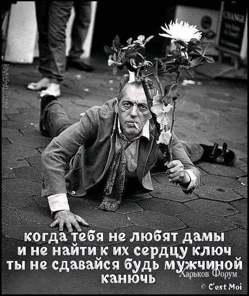 574c9cea69571f603b.webp