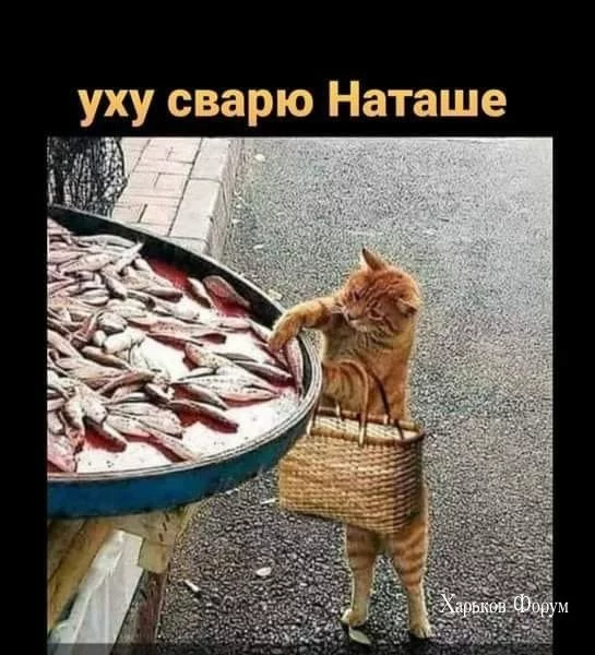 5783446e9adeb05ac53.webp