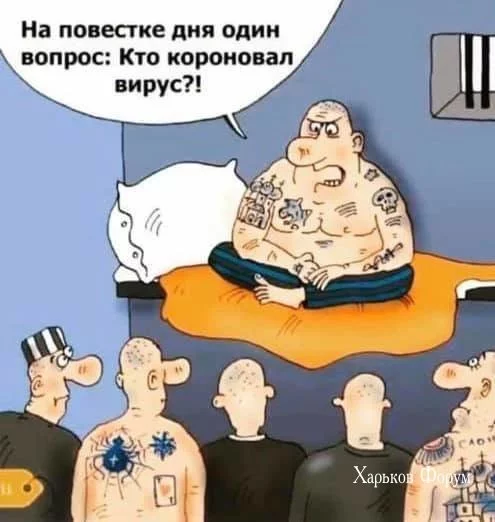 5791cd23fef9986eeef261.webp