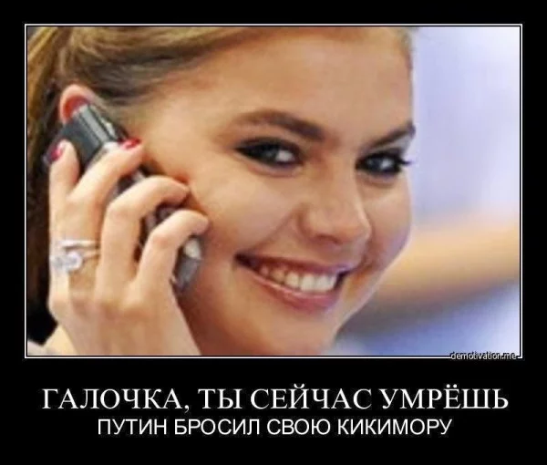 5795004_original.webp