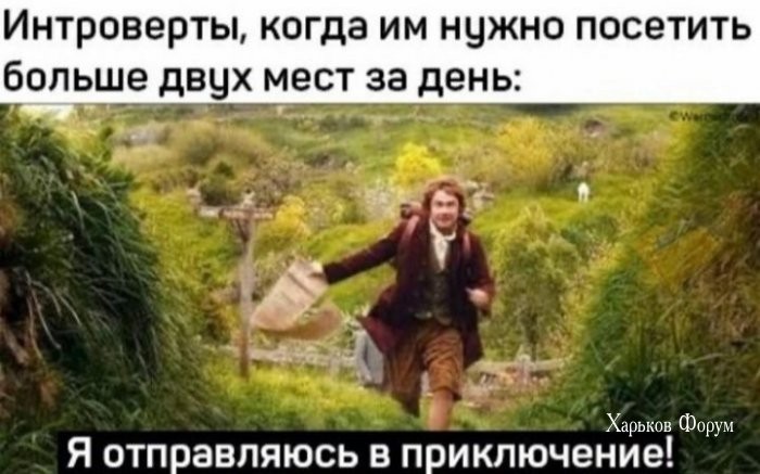 57bb3516976371a6a.jpg