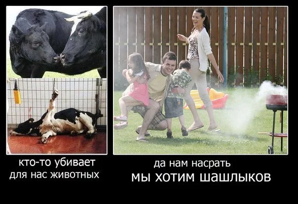 57c11f04e773e7144461774d4d47e401.webp