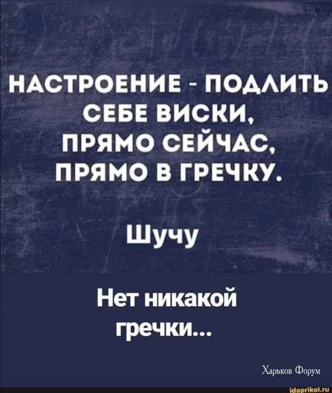 57c8d9c3104ad282.webp