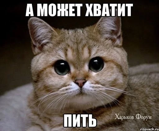57e81c069f30addc5310b9.webp