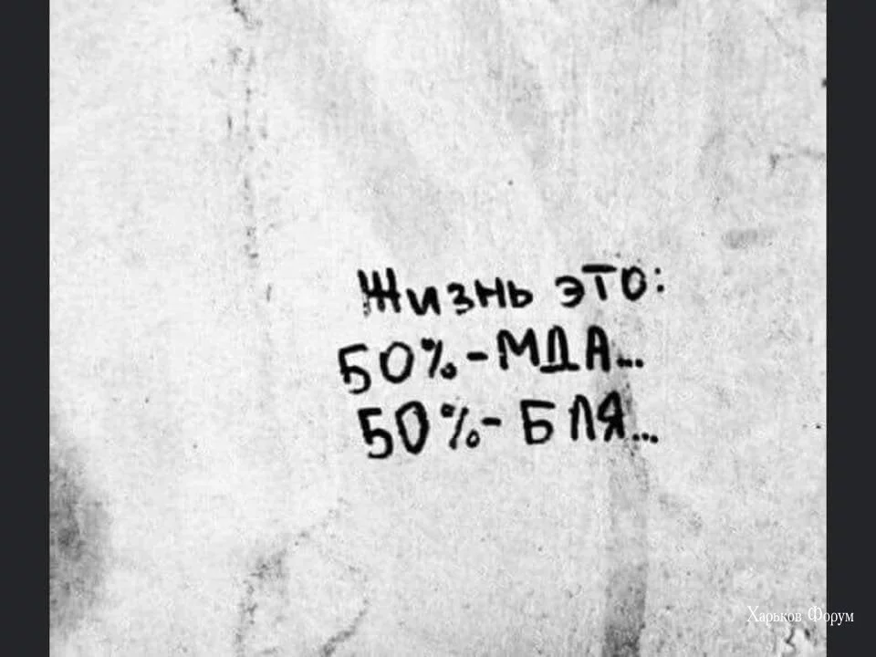 57ee15643546336f2b.webp