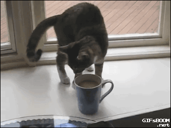 582486086b4e16f123d4ffa9.gif