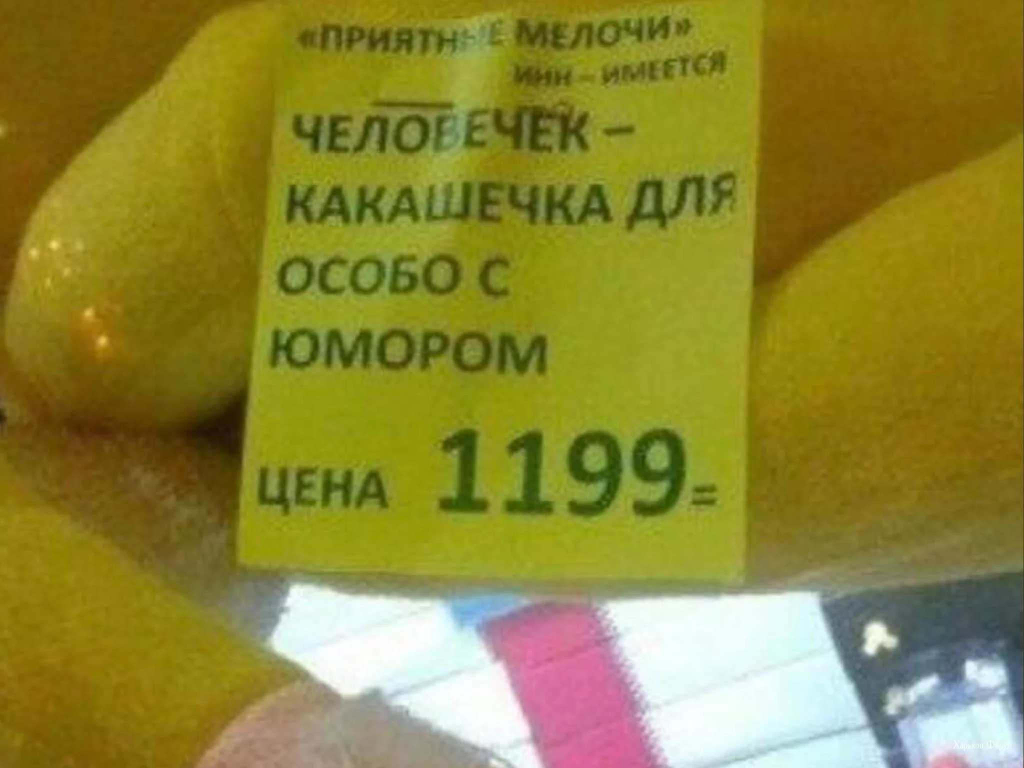 583665fec46484b6a.webp