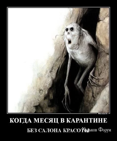 58486213a4099050296.webp