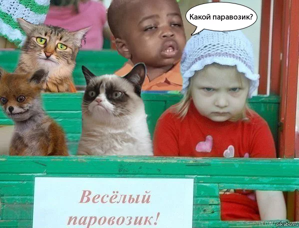 586284.webp