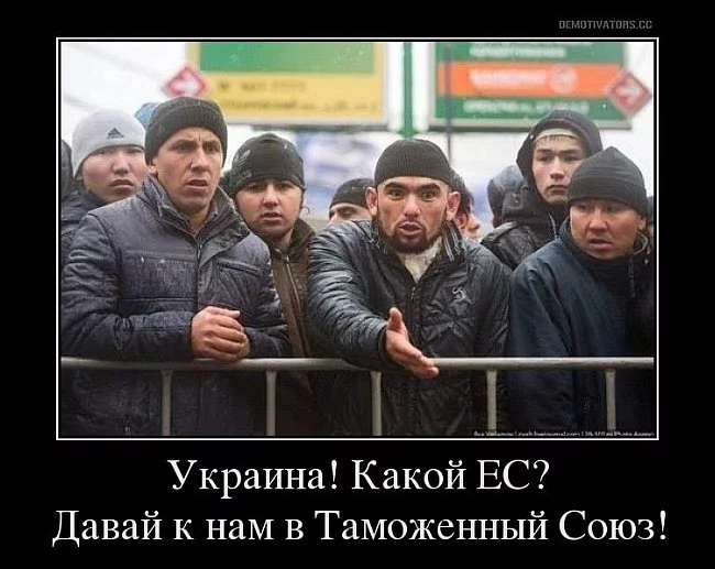 5883169_original.webp