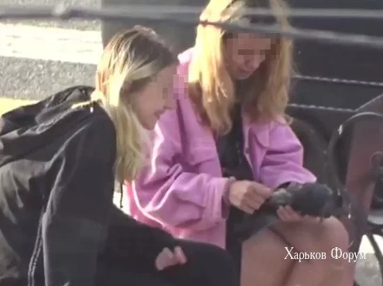 588996158bf6f15dc234.webp