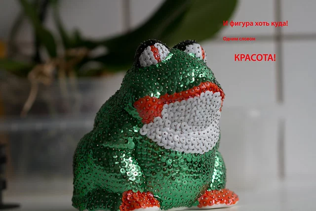 5890291577_2b94b34969_z.webp