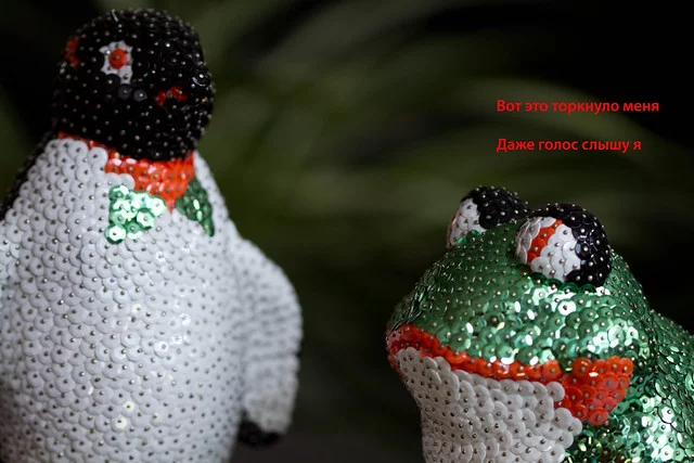 5890295659_879ab68f5d_z.webp