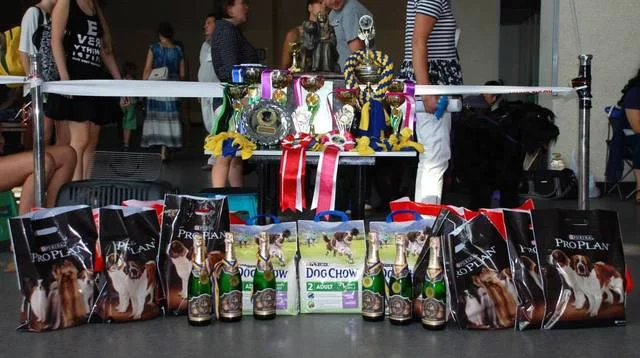 5899884_m.webp