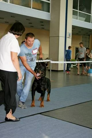 5899933_m.webp