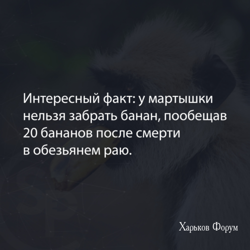 589dec0b44f5233a9e7c.png