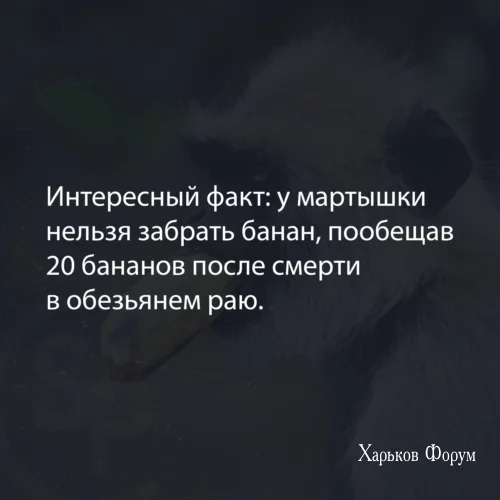 589dec0b44f5233a9e7c.webp