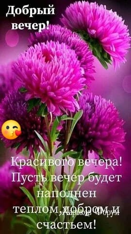 58a3b8ea27d9abfdbcf.jpg