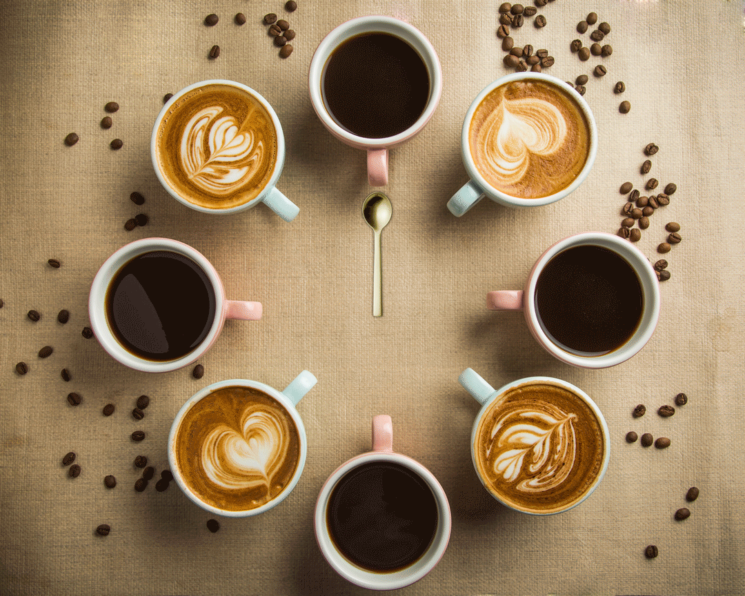 58a51a99ff33e8e6.gif