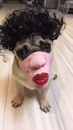 58b18b2ee1f0cf9d000.gif