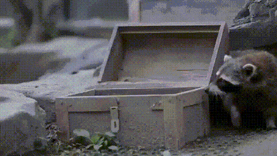 58c78a9e8a7fe31d3b5b5450c7c1275cdff53f45.gif