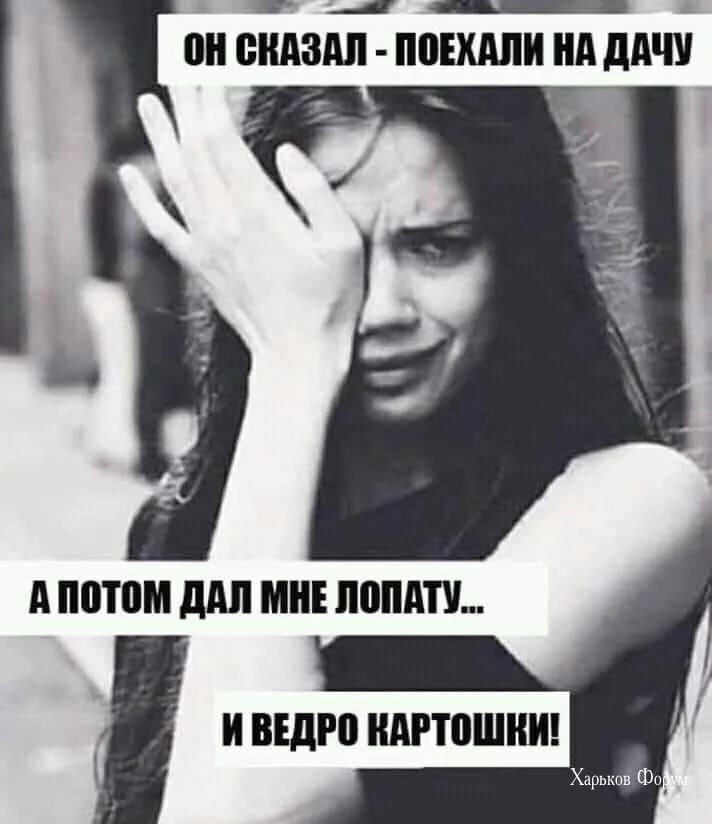 58deb2bf5a7d0362cdcfc.webp