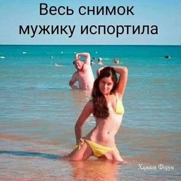58f6200c624a38a5.webp