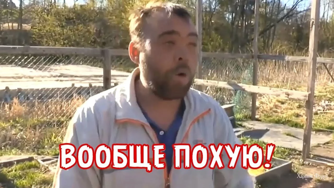 58f6da97f926cbd4534.webp