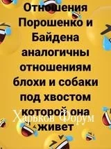 58ff8521b414a61e31d8.webp