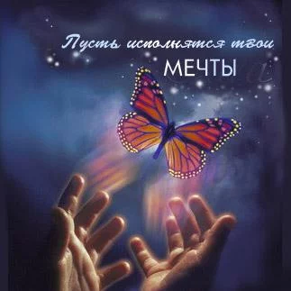 59017518.webp