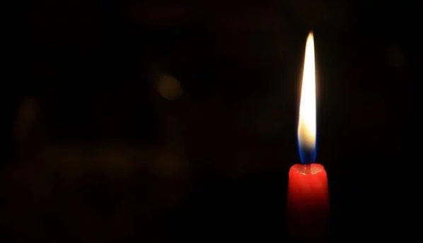 590504.jpg